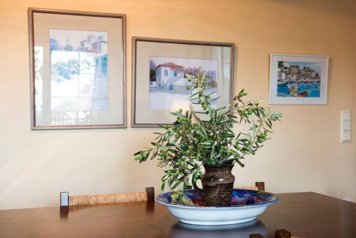 PalaiónTsiflíkion Loukas House 빌라 외부 사진