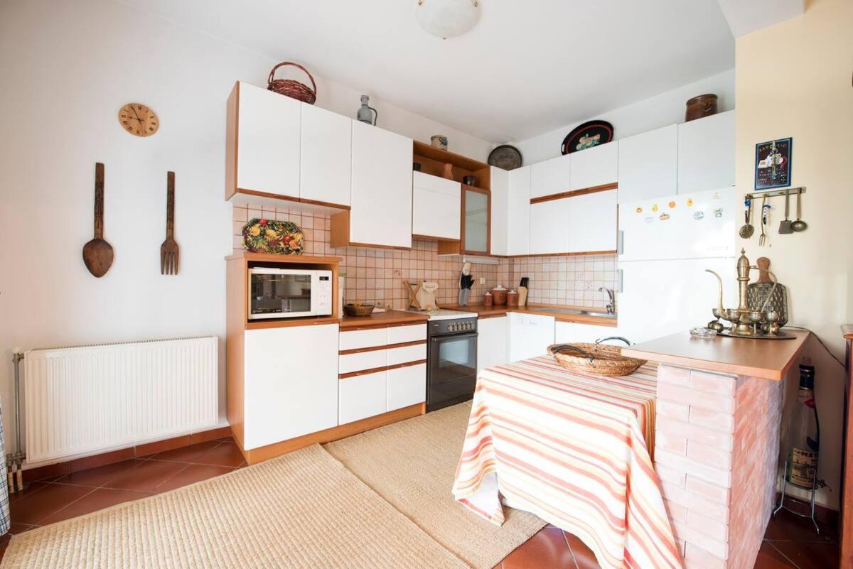PalaiónTsiflíkion Loukas House 빌라 외부 사진