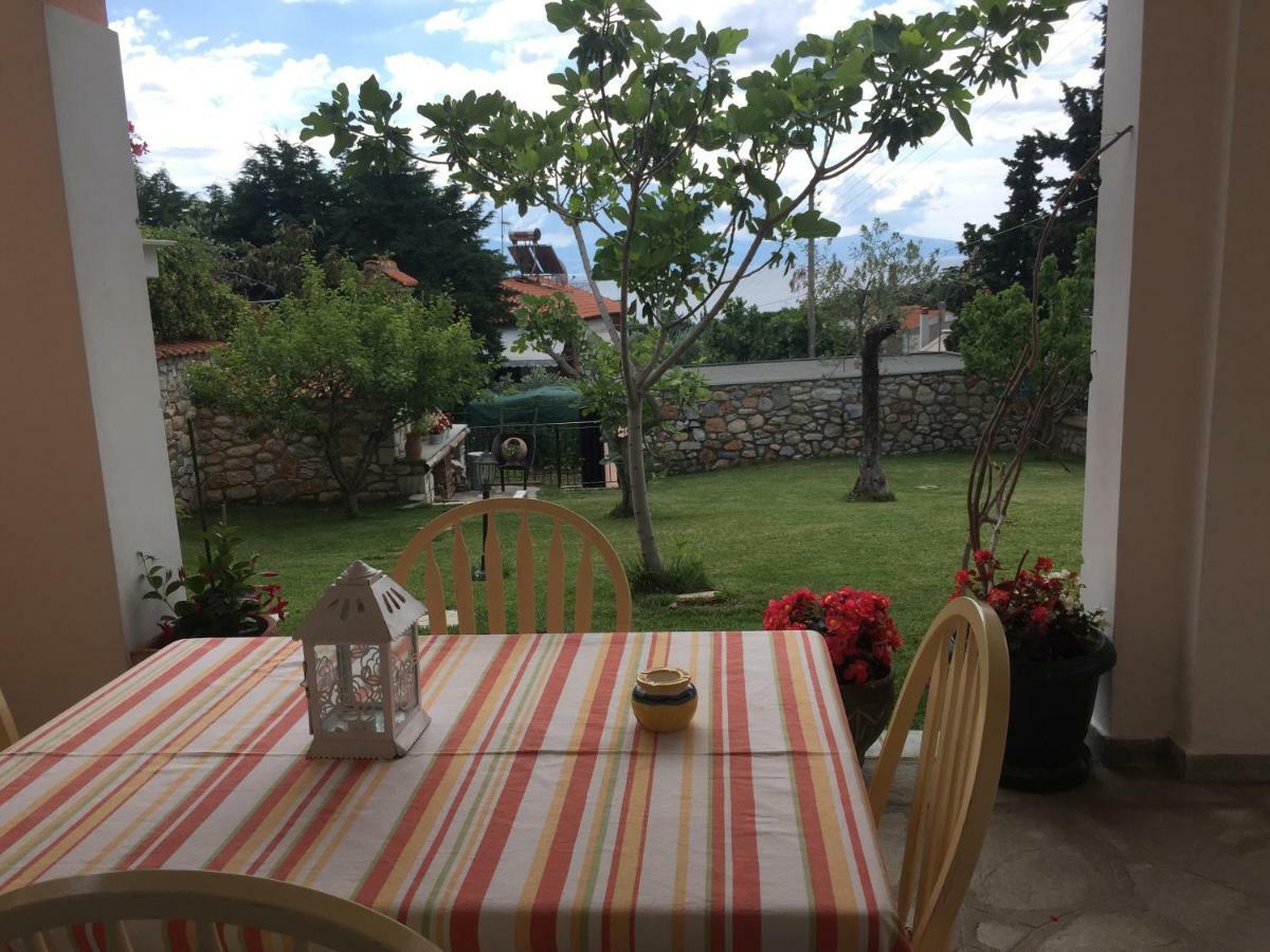 PalaiónTsiflíkion Loukas House 빌라 외부 사진