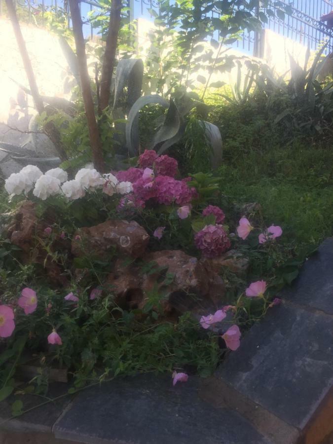 PalaiónTsiflíkion Loukas House 빌라 외부 사진